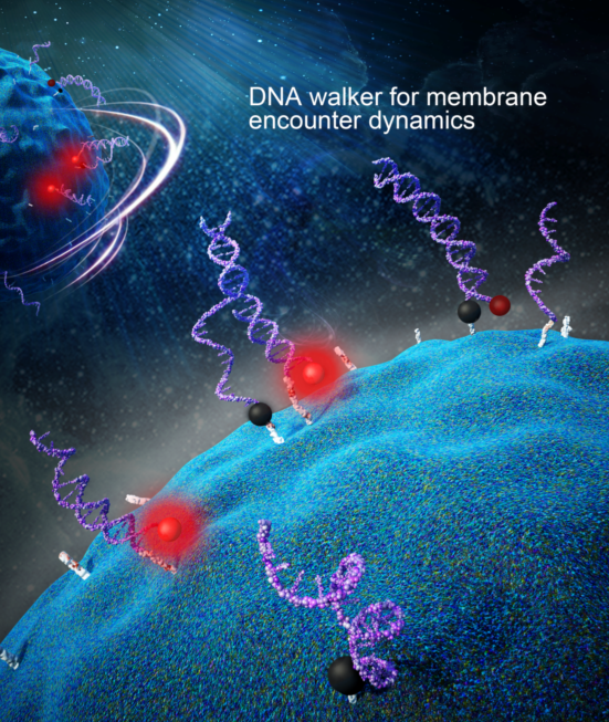 2017年3月,谭蔚泓教授课题组在Nature Nanotechnology发表研究成果.png